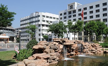 证券实务